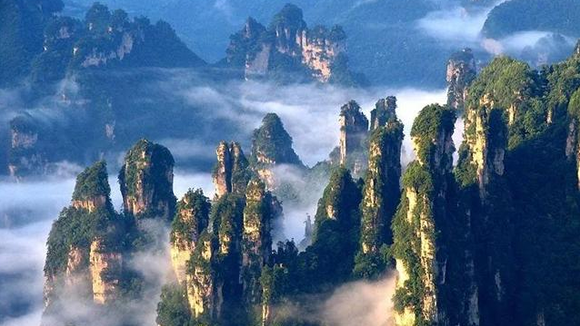 National Forest Park