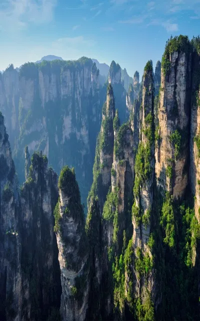 1-Day Zhangjiajie National Forest Park Classic Tour