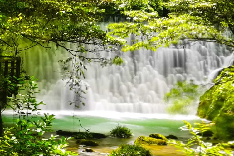 3天2夜·私人定制游·张家界国家森林公园